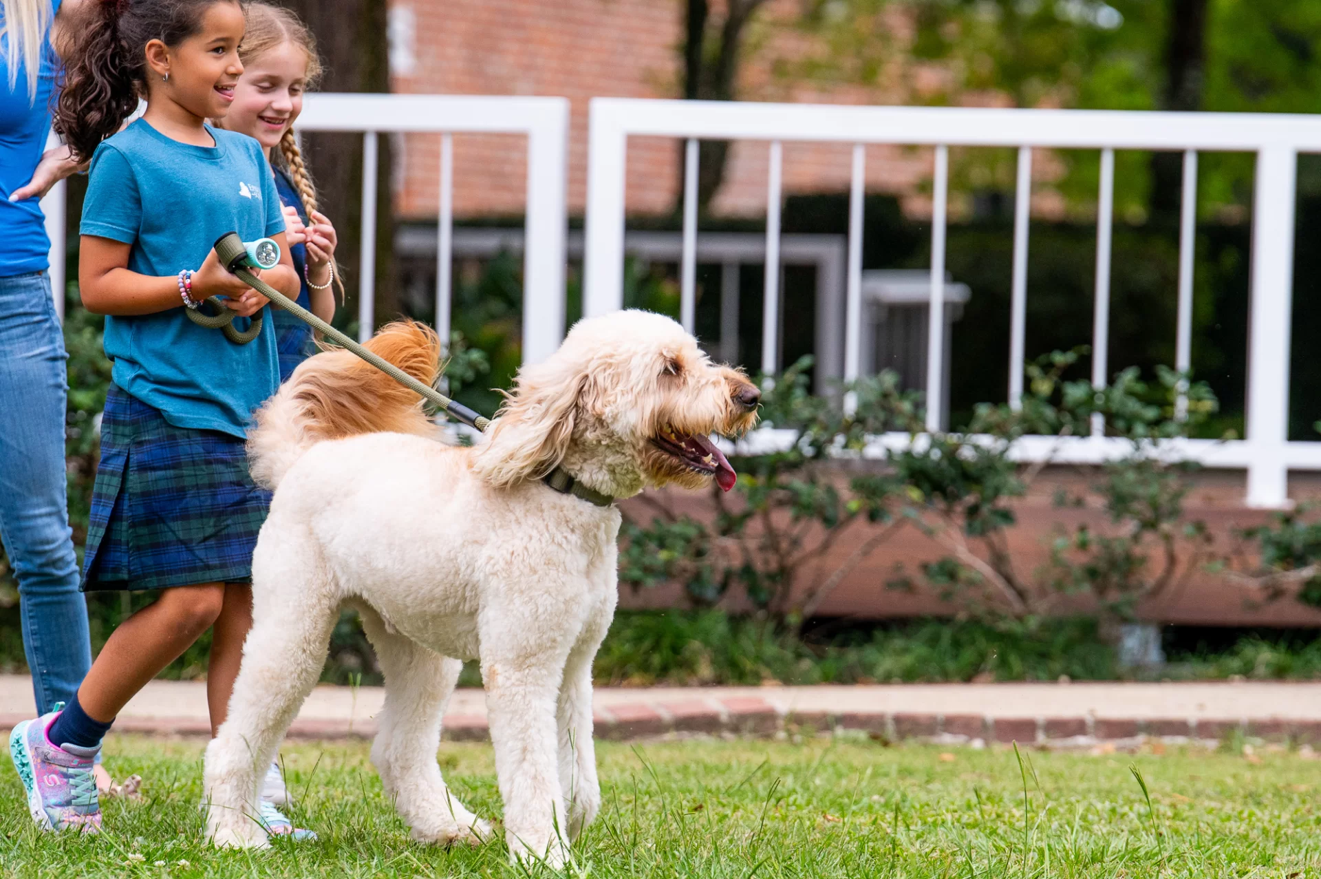 Blessing Of The Animals 0793.webp